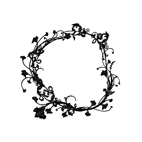Cadre Rond Fleur Noir:) - GIF animé gratuit
