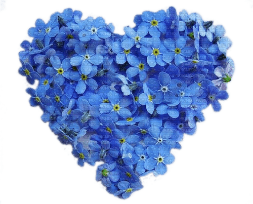 Blumen, Herz - kostenlos png