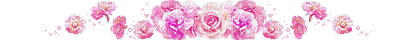 Pink roses divider - GIF animado gratis