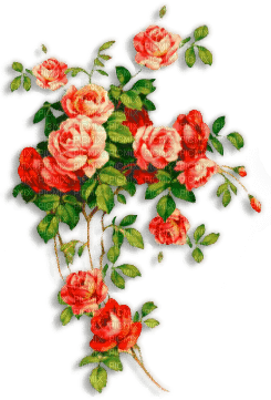 Green red pink roses deco [Basilslament] - png gratis