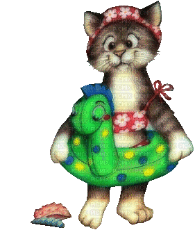 Cat ready for swimming Animated - 免费动画 GIF