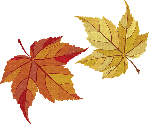 Herbst, Autumn, Blätter - GIF animé gratuit