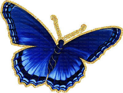 dulcineia8 borboletas - 免费动画 GIF
