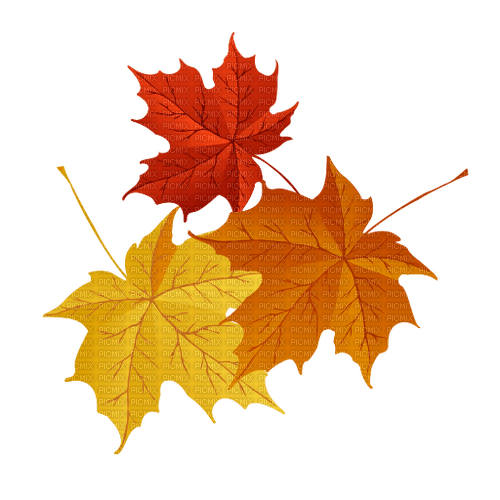 leaves  Bb2 - 免费PNG