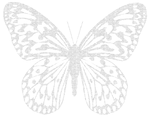 White Animated Butterfly - By KittyKatLuv65 - Gratis animerad GIF