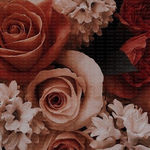 red flowers background.♥ - nemokama png