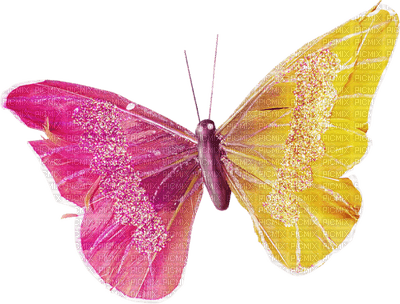 Kaz_Creations Deco Butterfly  Colours - бесплатно png