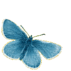 blue butterfly gif - Gratis animeret GIF