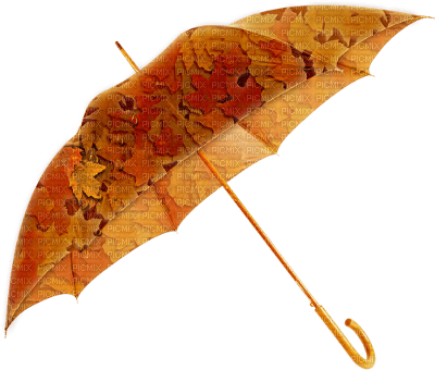 autumn fall umbrella regenschirm parapluie - Free PNG