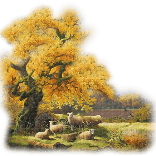 otoño paisage dubravka4 - zdarma png