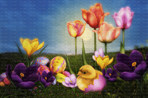 Tulpen - GIF animasi gratis
