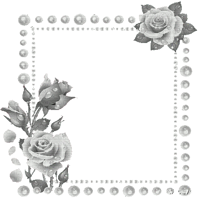 soave frame  pearl flowers rose black white - GIF animasi gratis