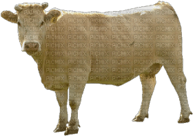 Kaz_Creations Cow - Free PNG