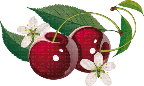 cherries Bb2 - бесплатно png