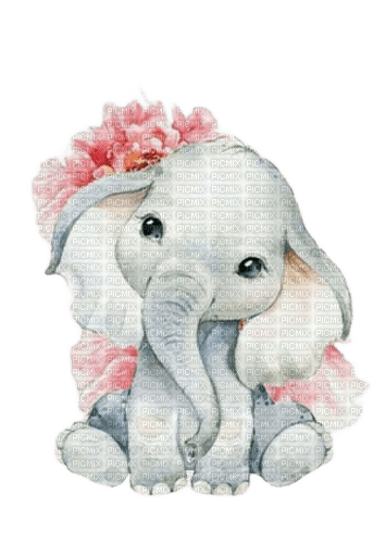 charmille _ animaux - ingyenes png
