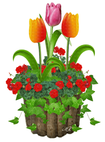 fleurs/decoration - zdarma png