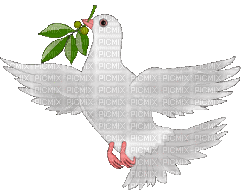 colombe - GIF animado grátis