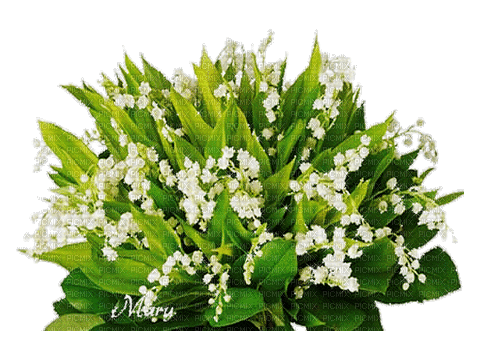 Muguet.Fleurs.Flowers.gif.Victoriabea - Бесплатни анимирани ГИФ