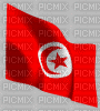drapeau tunisie - Бесплатный анимированный гифка