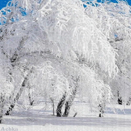 winter  background by nataliplus - Free animated GIF
