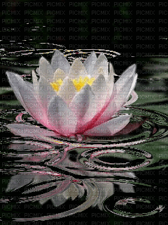 image encre animé effet fleur - Δωρεάν κινούμενο GIF