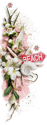SOAVE DECO SUMMER BEACH SCRAP text border - ücretsiz png