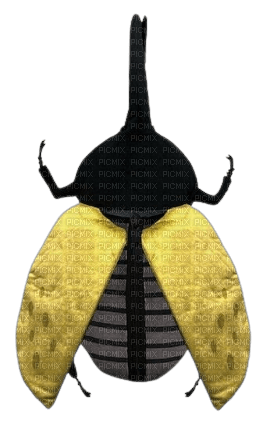 hercules beetle backpack - zdarma png