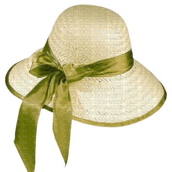 sombrero by EstrellaCristal - bezmaksas png