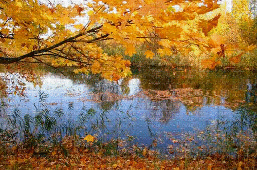 maj gif paysage automne - Besplatni animirani GIF