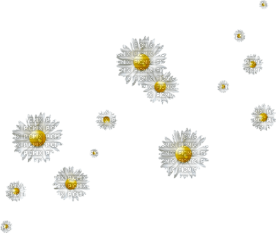 Flowers dm19 - nemokama png