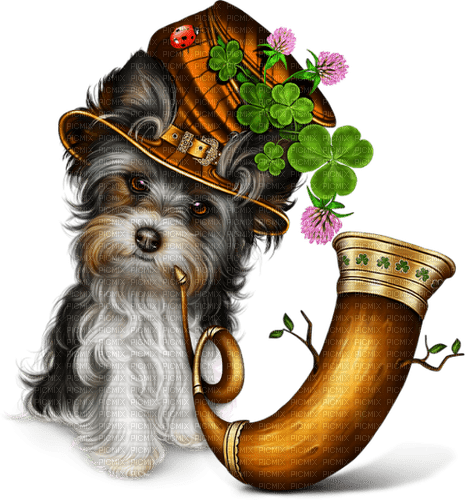 st. Patrick dog  by nataliplus - 免费PNG