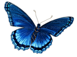 mariposa - ingyenes png