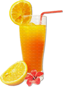 soave deco  summer fruit citrus cocktail flowers - PNG gratuit