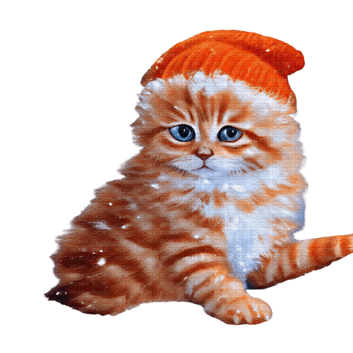 kikkapink kitten animal cute deco winter - ilmainen png