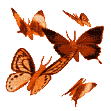 butterflies anastasia - GIF animado gratis