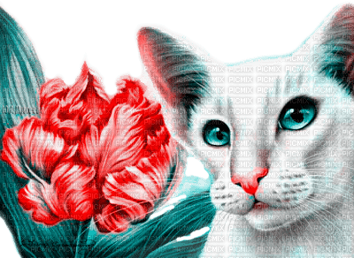 Y.A.M._Art Fantasy cat - PNG gratuit