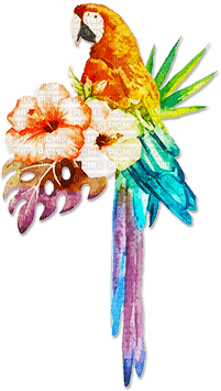 soave deco summer bird tropical parrot flowers - PNG gratuit