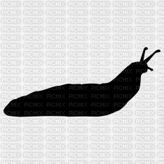 slug - ilmainen png
