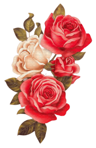 vintage roses 2 - безплатен png