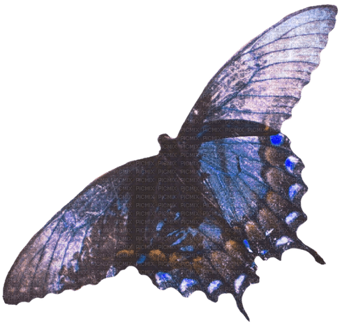 Butterfly violet artsy creative - ücretsiz png