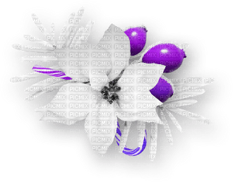 soave deco christmas winter flowers black white - 無料png