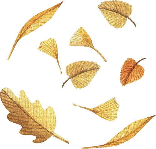 leaves  Bb2 - ilmainen png