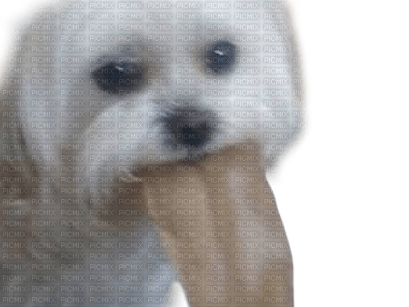dog throw up - 免费PNG