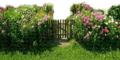 Gartentür - kostenlos png