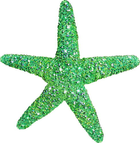 Starfish.Green - kostenlos png