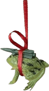 Return of the Missle Toad - PNG gratuit
