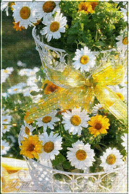 Flowers in vase - Gratis animerad GIF