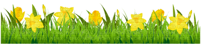 Flowers yellow bp - 免费PNG