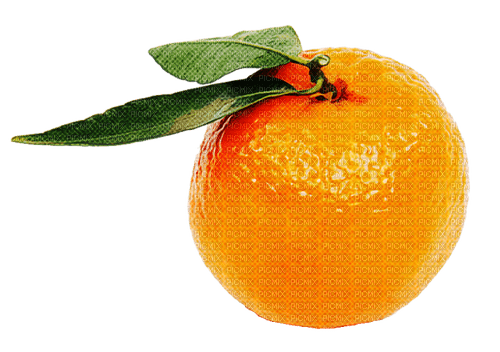 Mandarine - ücretsiz png