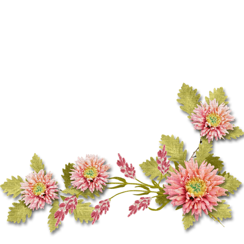 corner coin flower pink - Free PNG